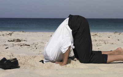 Negative press and media monitoring